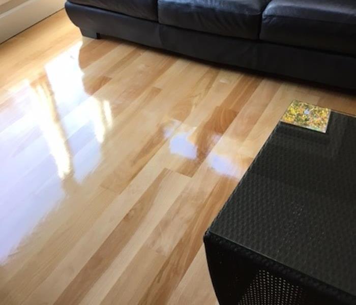 clean shiny wood floors