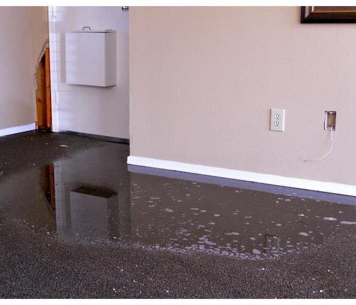 Standing water on carpet.